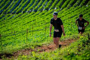 BIB: 
                            <button type="button" onclick="openModal(19161973)" class="btn btn-primary btn-sm float-right btn-popup" data-toggle="modal" data-target=".modal-high-quality">
                        <i class="fas fa-shopping-cart"></i> Add to Cart
                    </button>
                                            <button type="button" onclick="isThisMe(19161973, true)" class="btn btn-success btn-sm float-right btn-popup btn-isme hidden" data-toggle="tooltip" data-placement="bottom" title="นี่คือรูปของคุณใช่ไหม คลิกที่นี่เพื่อเอาเข้าอัลบั้ม">
                        <i class="fas fa-plus"></i> Add to album
                    </button>
                    <button type="button" onclick="isThisMe(19161973, false)" class="btn btn-warning btn-sm float-right btn-popup btn-isnotme hidden">
                        <i class="fas fa-ban"></i> Remove from album
                    </button>